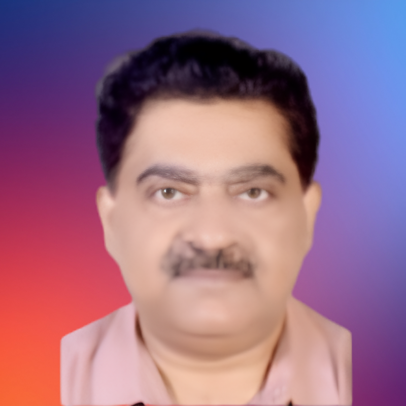 vice president img